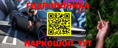 тгк Будённовск